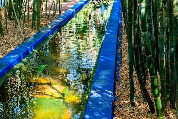 Una piscina bordeada de azul en el jardín Majorelle en Marrakech Marruecos