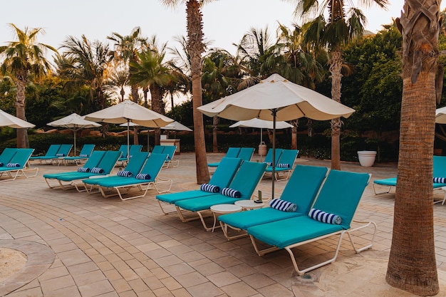 Piscina de cama azul con un toallero bajo sombrillas abiertas contra el telón de fondo de hermosas palmeras r...