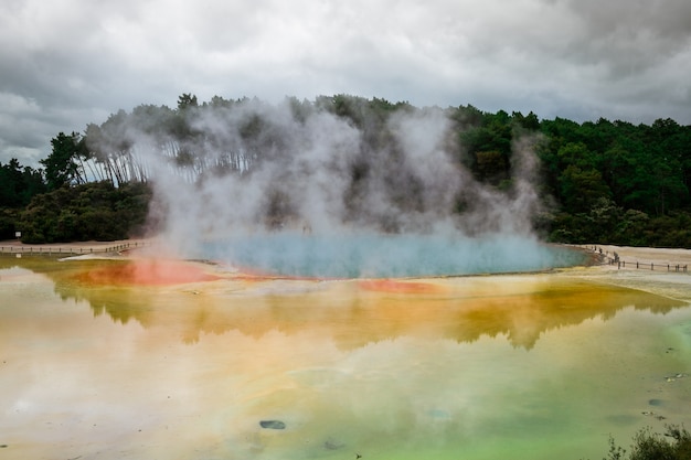 Piscina de champán en Rotorua, Nueva Zelanda