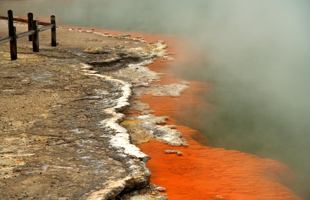 Piscina de champán en Rotorua