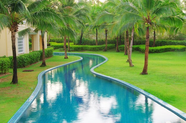 Piscina com coqueiro e guarda-chuva branco