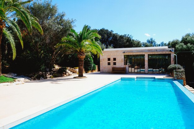 Foto piscina com palmeiras e área de relaxamento