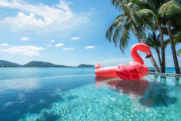 Piscina exterior, flutuando cisne com céu azul do oceano