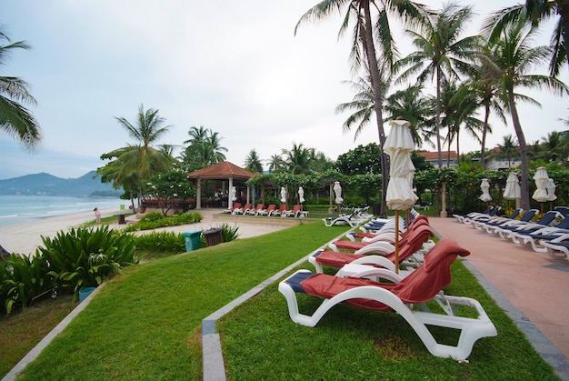 Piscina junto al mar con cocotero moderno hotel de lujo, isla de Samui, Tailandia