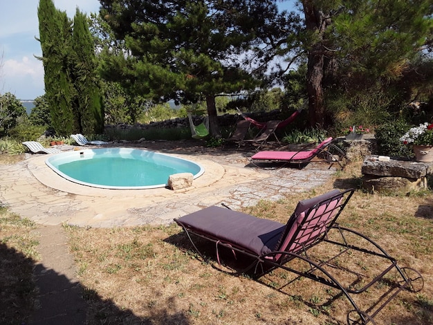 Piscina junto a los árboles contra el cielo