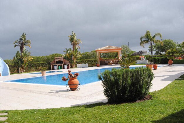 Foto piscina junto a las palmeras contra el cielo