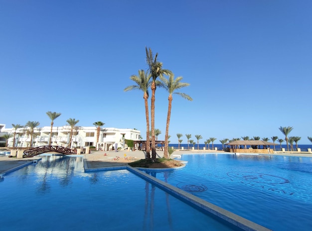 una piscina con palmeras y un cielo azul