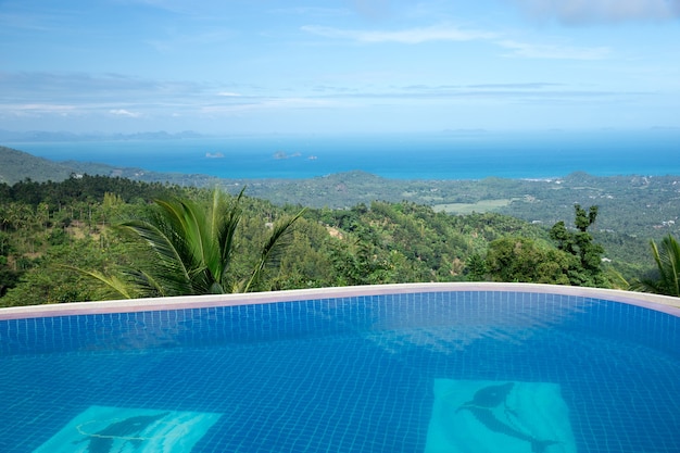 Piscina tropical com coqueiro