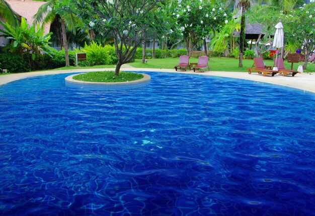 piscina tropical