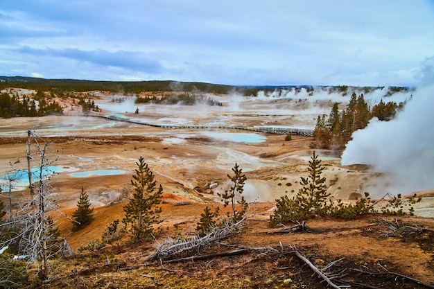 Piscinas humeantes de aguas ácidas en Norris Basin de Yellowstone