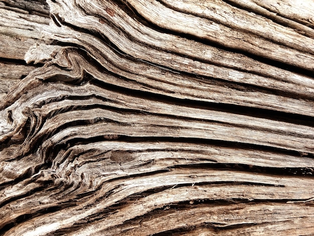 Piso de madeira antigo para design gráfico ou papéis de parede