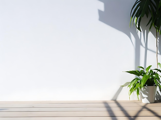 Piso de madeira e parede branca vazia com fundo de sombras de plantas Maquete de exibição de apresentação de produto