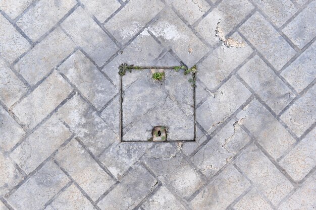 Foto piso de hormigón estampado con la cubierta de drenaje con malezas creciendo a su alrededor