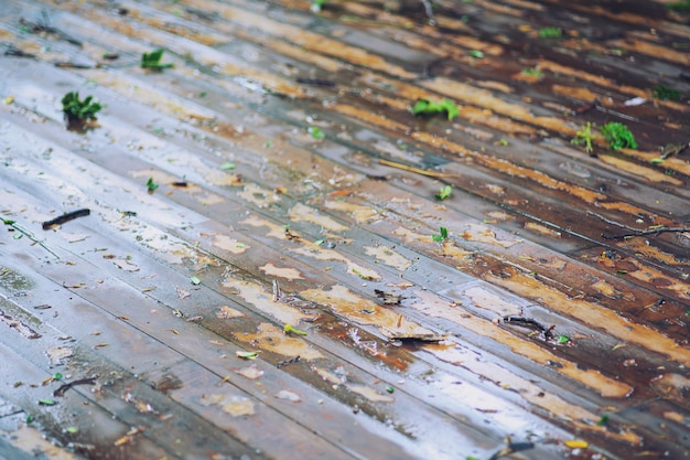 El piso de madera marrón está mojado después de la lluvia