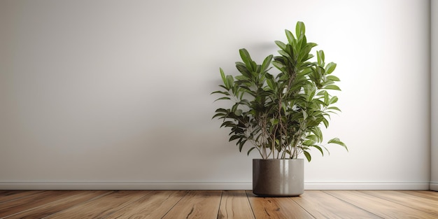 Un piso de madera con una planta en él