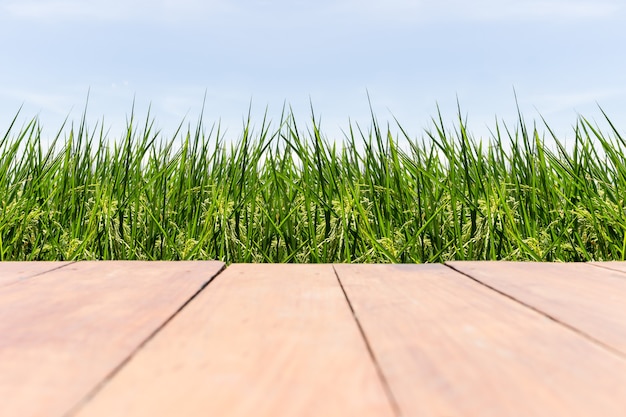 Piso de madera vacío en campos de arroz con cielo azul