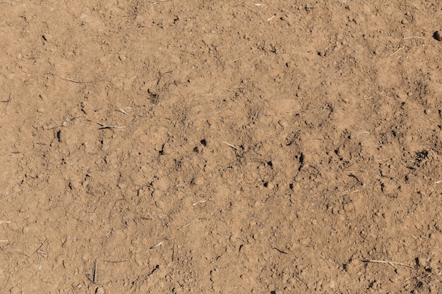 piso térreo para o fundo de agricultura