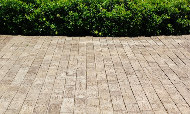 Foto pisos de madera y planta en jardín.