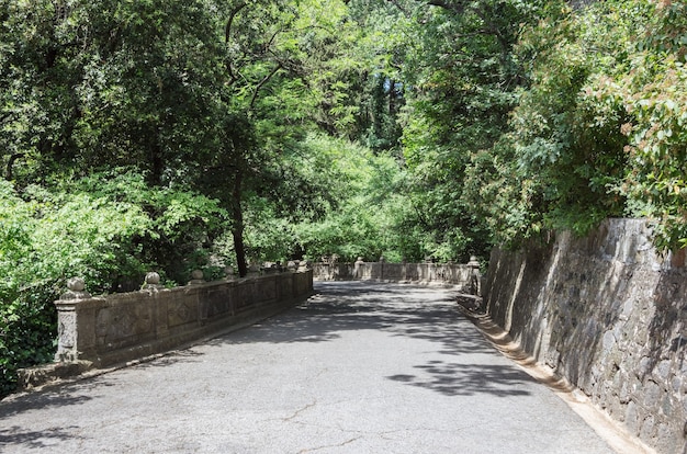 Pista para caminar del parque Vorontsov