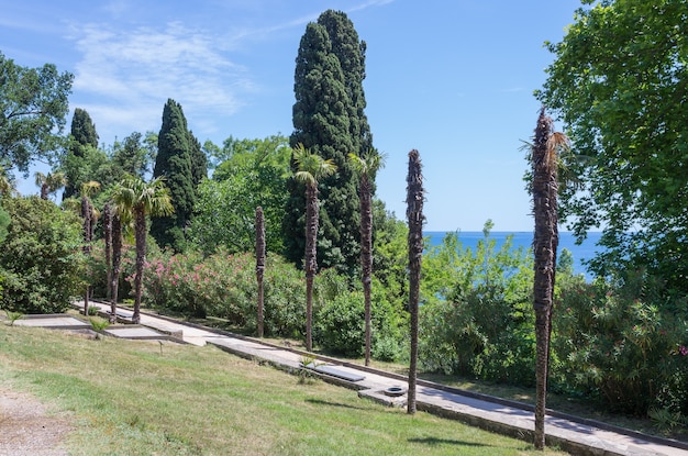 Pista para caminar del parque Vorontsov