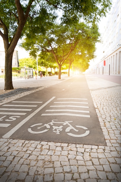 Pista para ciclistas en el parque al atardecer.