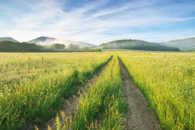 Pista da estrada na montanha de primavera