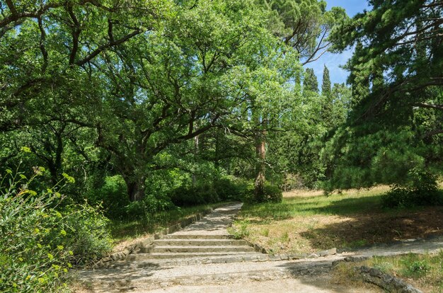 Pista de caminhada do Parque Vorontsov