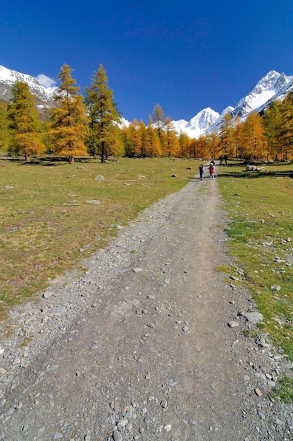 Pista de caminhada Schnalstal Texel Group Tirol do Sul Itália