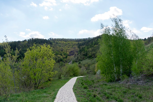 Pista de corrida no parque nacional.