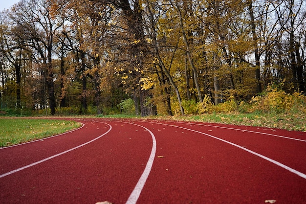 Foto pista de corrida vermelha com pistas no parque de outono esteira no estádio conceito de esporte e fitness