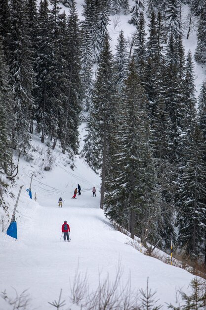 Pista de esqui com pessoas nas férias de inverno