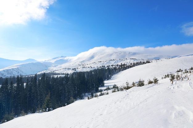 Pista de esqui no resort de neve em dia ensolarado Férias de inverno