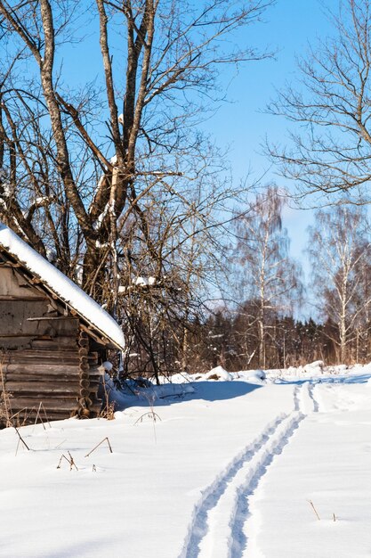 Pista de esqui para a floresta em pequena vila no inverno