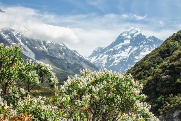 Foto pista de hooker valley no parque nacional de mount cook na nova zelândia