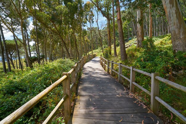 Pista de madeira na praia das Figueiras, na ilha de Islas Cies