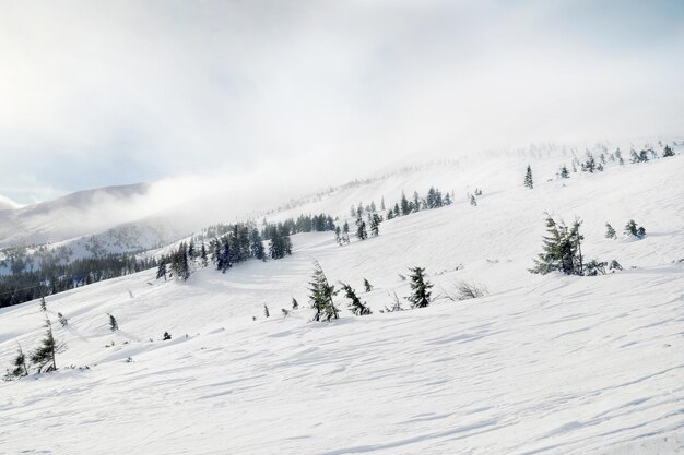 Pista de esquí en el centro turístico cubierto de nieve el día de invierno