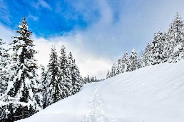 Pista de esquí de travesía tras nevadas en un lugar idílico