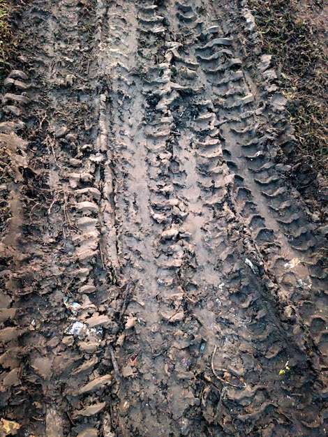 Una pista de neumáticos embarrados en el barro