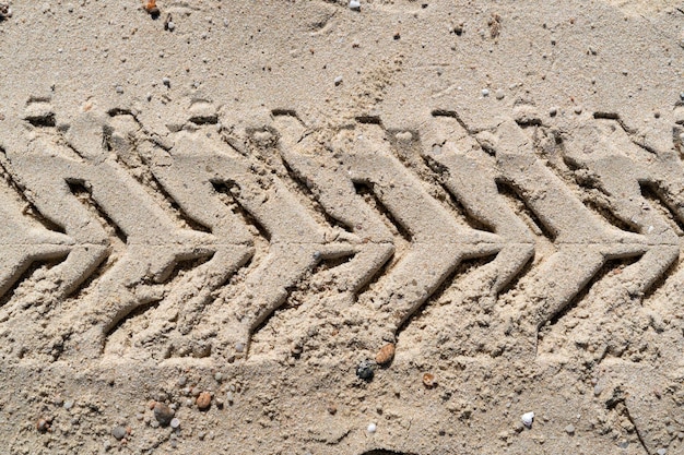 Pista de neumáticos todoterreno en la playa de arena