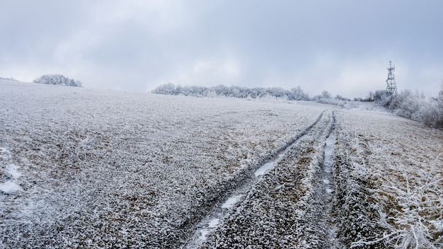 Pista pasando por un campo cubierto de nieve.