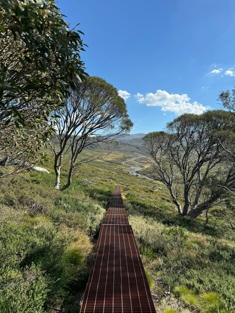 Foto una pista de tren con una montaña en el fondo y un árbol con un fondo de cielo