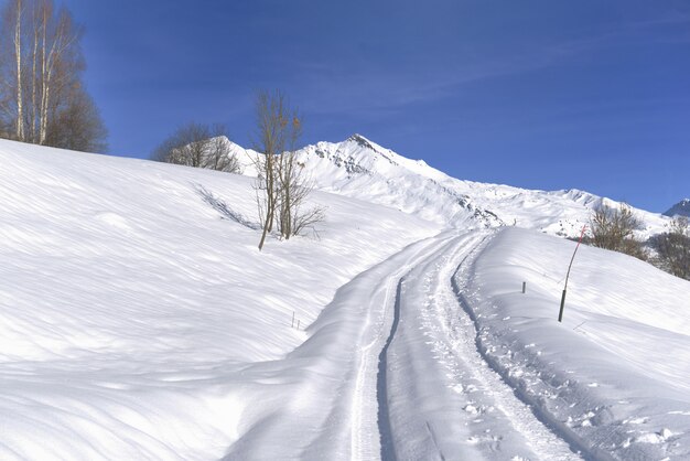 Pistas en una carretera cubierta de nieve fresca