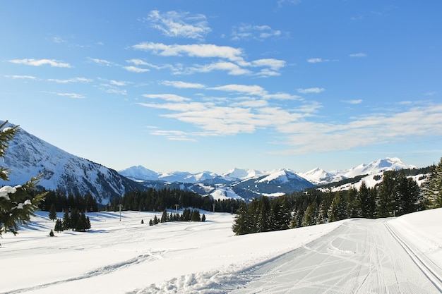 Pistas de esqui na floresta de neve nos Alpes