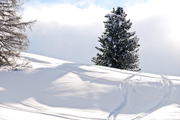 Pistas de esquí alrededor del abeto en Dolomitas Italia