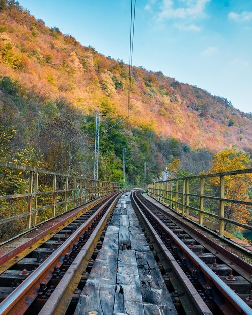 Foto pistas de ferrocarril en medio de árboles contra el cielo durante el otoño