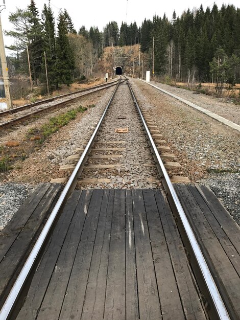 Pistas de ferrocarril en medio de árboles contra el cielo