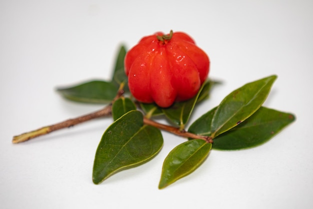 Pitanga Eugenia uniflora Brasilianische exotische reife Frucht im Detail