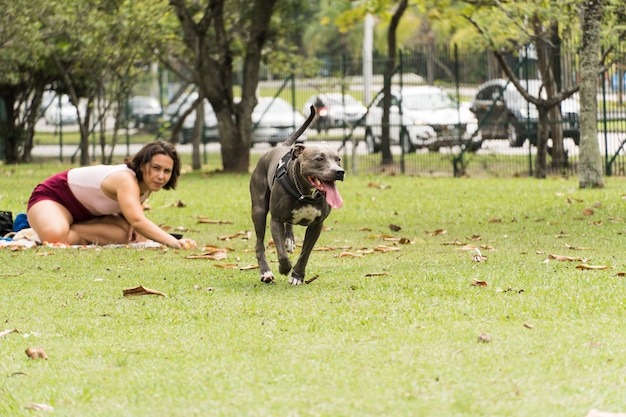 Pitbull-Hund, der mit einem jungen Mädchen spielt und Spaß im Park hat. Bewölkter Tag. Selektiver Fokus.