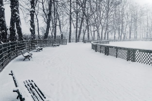 Foto pitoresco jardim de verão durante o inverno, coberto de neve. russia, são petersburgo