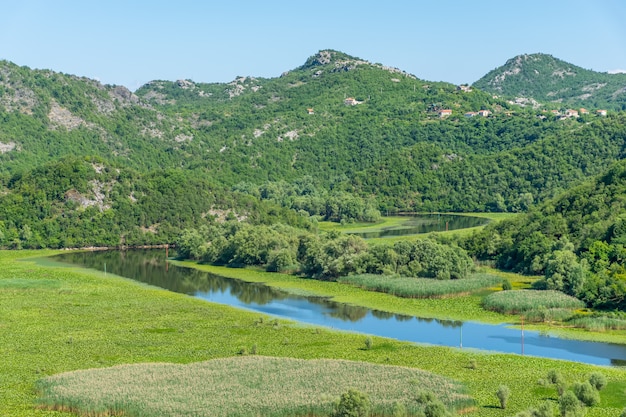 pitoresco rio sinuoso flui entre montanhas verdes.